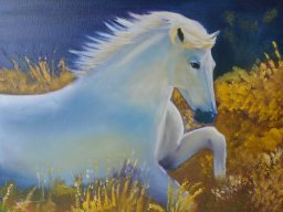 Cheval-blanc
